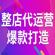 代運(yùn)營(yíng)標(biāo)準(zhǔn)版半年服務(wù)方案 代運(yùn)營(yíng)標(biāo)準(zhǔn)版半年服務(wù)方案